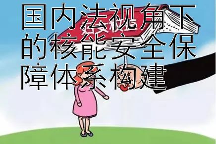 国内法视角下的核能安全保障体系构建