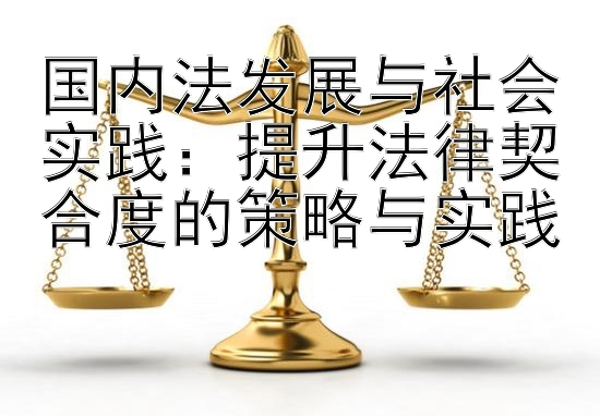 国内法发展与社会实践：提升法律契合度的策略与实践