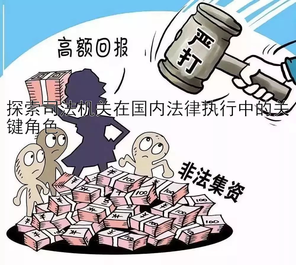 探索司法机关在国内法律执行中的关键角色