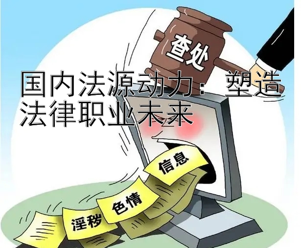 国内法源动力：塑造法律职业未来