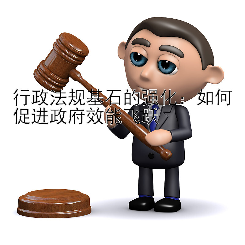 行政法规基石的强化：如何促进政府效能飞跃