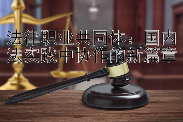 法律职业共同体：国内法实践中协作的新篇章