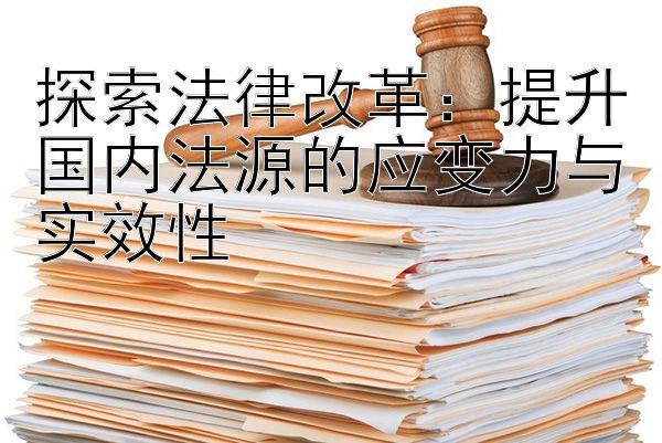 探索法律改革：提升国内法源的应变力与实效性