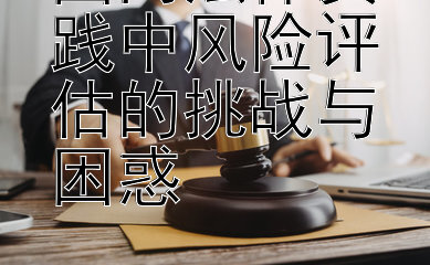 国内法律实践中风险评估的挑战与困惑