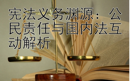 宪法义务渊源：公民责任与国内法互动解析