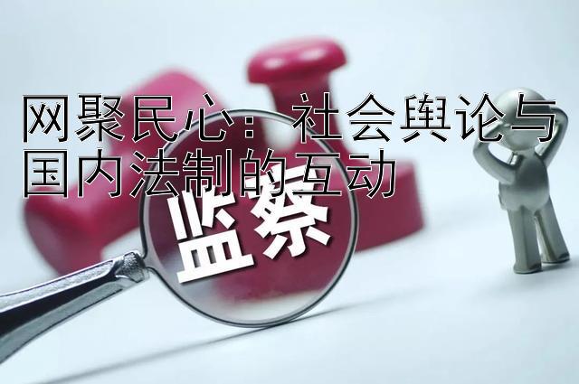 网聚民心：社会舆论与国内法制的互动