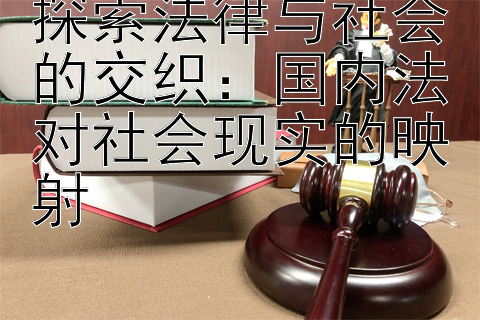 探索法律与社会的交织：国内法对社会现实的映射