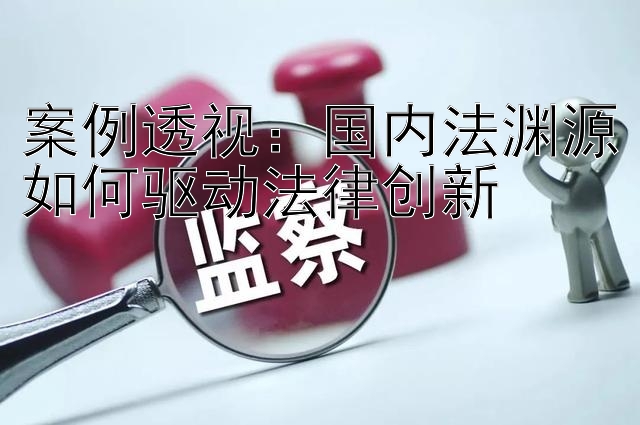 案例透视：国内法渊源如何驱动法律创新