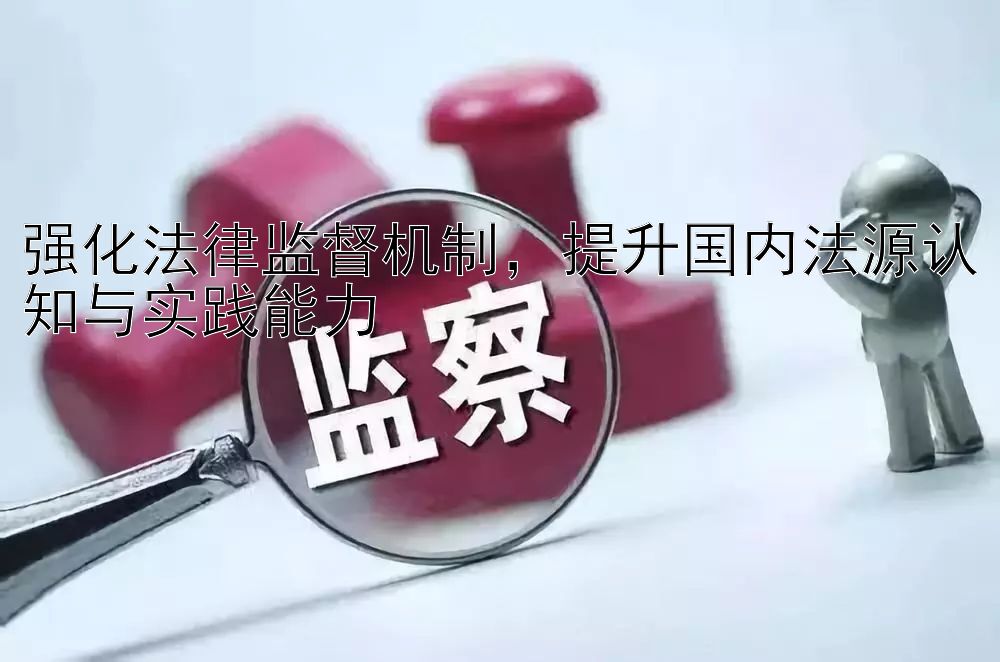 强化法律监督机制，提升国内法源认知与实践能力