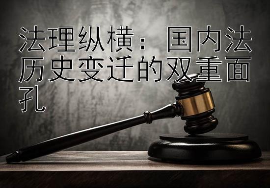 法理纵横：国内法历史变迁的双重面孔