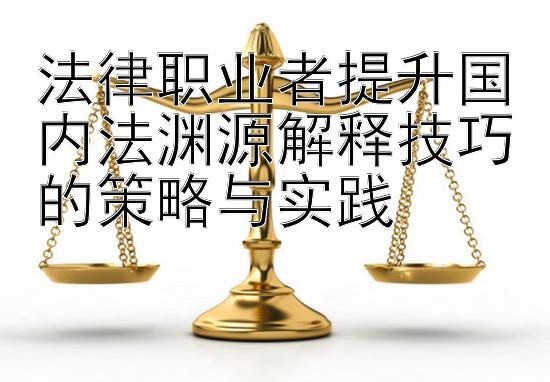 法律职业者提升国内法渊源解释技巧的策略与实践