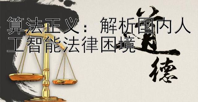 算法正义：解析国内人工智能法律困境