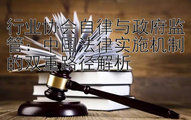 行业协会自律与政府监管：中国法律实施机制的双重路径解析