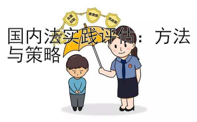 国内法实践评估：方法与策略