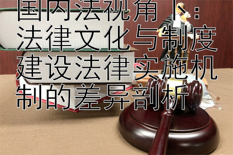 国内法视角下：法律文化与制度建设法律实施机制的差异剖析