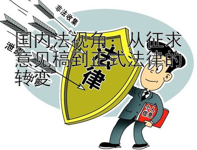 国内法视角：从征求意见稿到正式法律的转变