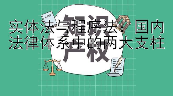 实体法与程序法：国内法律体系中的两大支柱