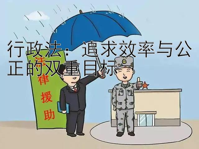 行政法：追求效率与公正的双重目标