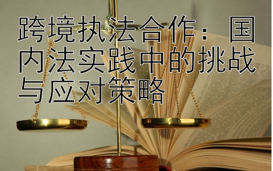 跨境执法合作：国内法实践中的挑战与应对策略