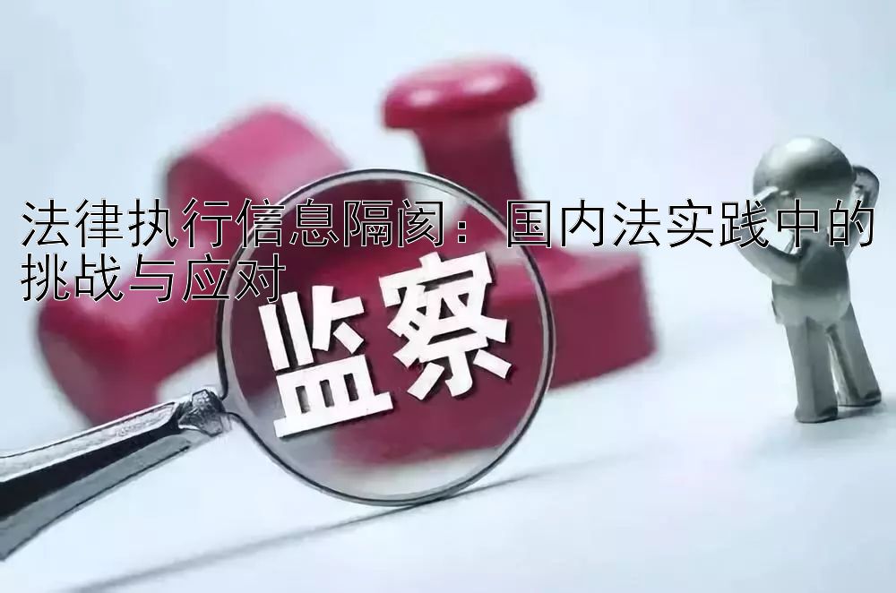 法律执行信息隔阂：国内法实践中的挑战与应对