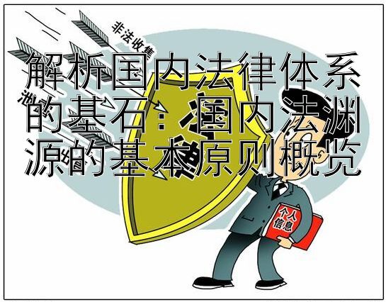 解析国内法律体系的基石：国内法渊源的基本原则概览