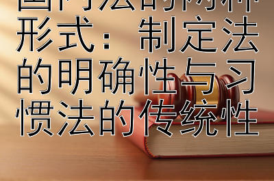 国内法的两种形式：制定法的明确性与习惯法的传统性