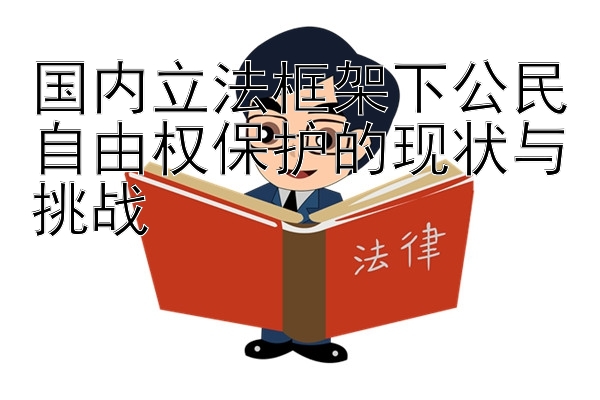 国内立法框架下公民自由权保护的现状与挑战