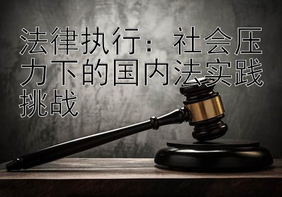 法律执行：社会压力下的国内法实践挑战