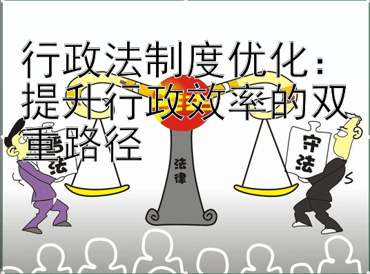 行政法制度优化：提升行政效率的双重路径