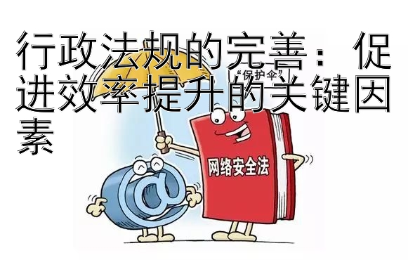 行政法规的完善：促进效率提升的关键因素