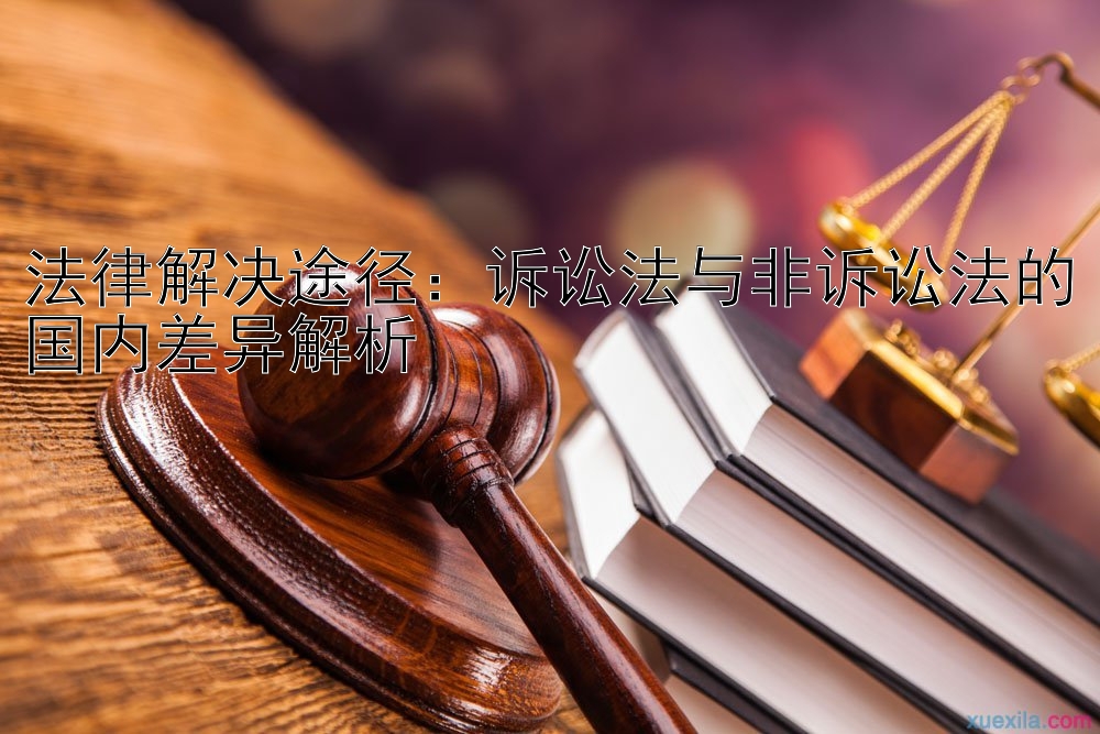 法律解决途径：诉讼法与非诉讼法的国内差异解析