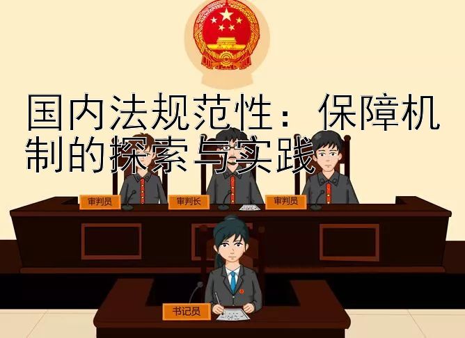 国内法规范性：保障机制的探索与实践