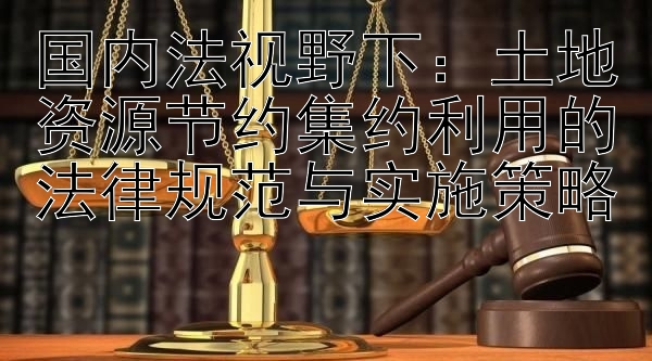 国内法视野下：土地资源节约集约利用的法律规范与实施策略