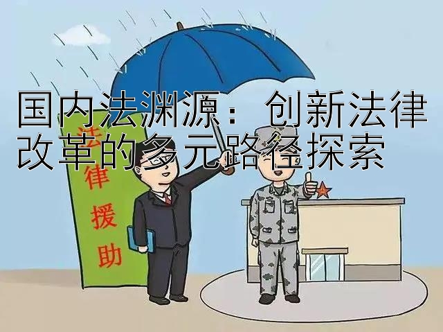 国内法渊源：创新法律改革的多元路径探索