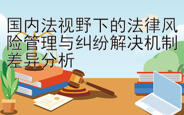 国内法视野下的法律风险管理与纠纷解决机制差异分析