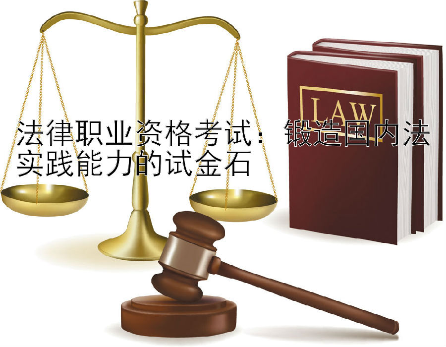 法律职业资格考试：锻造国内法实践能力的试金石