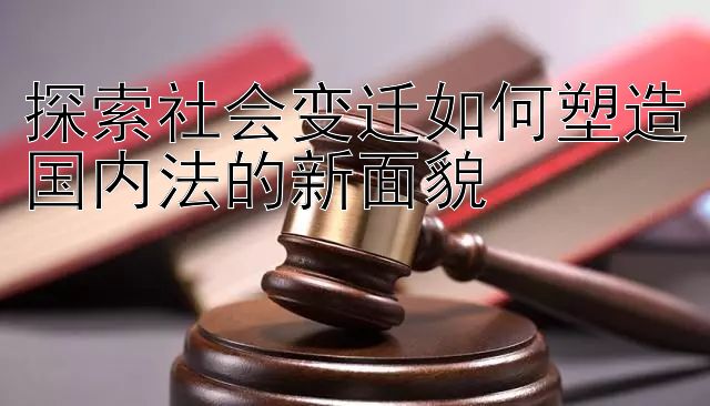 探索社会变迁如何塑造国内法的新面貌