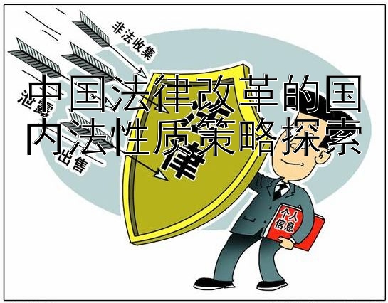 中国法律改革的国内法性质策略探索