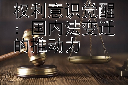 权利意识觉醒：国内法变迁的推动力