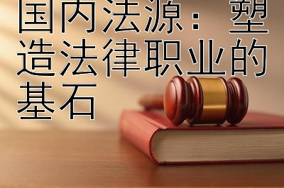 国内法源：塑造法律职业的基石