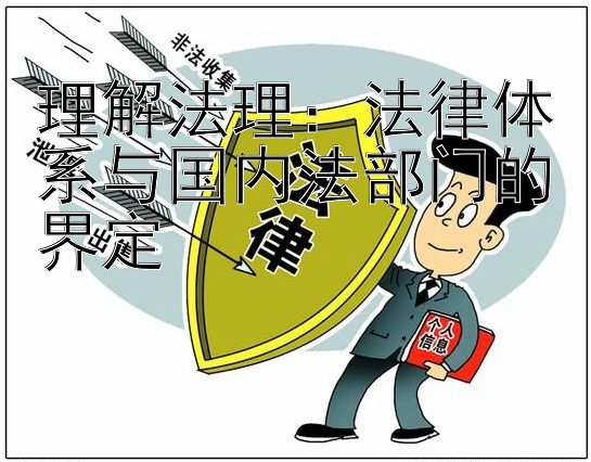 理解法理：法律体系与国内法部门的界定