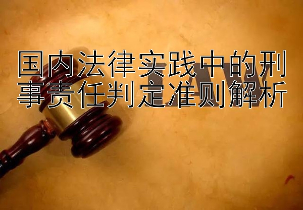 国内法律实践中的刑事责任判定准则解析