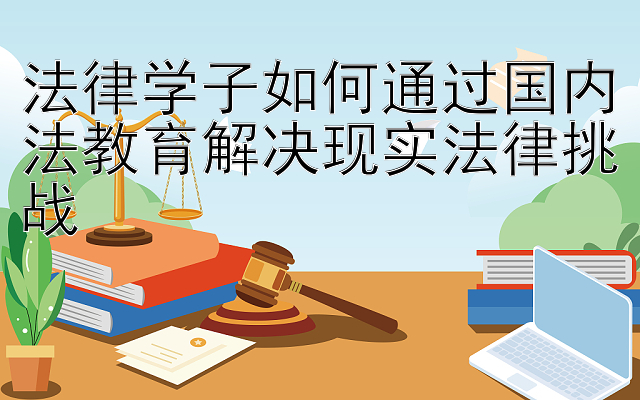 法律学子如何通过国内法教育解决现实法律挑战