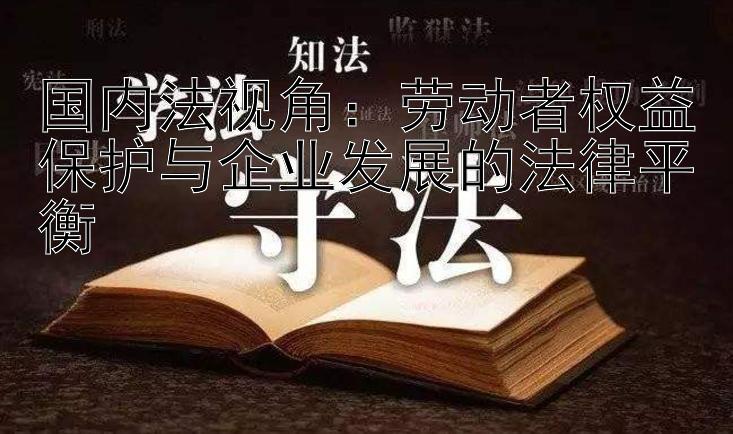 国内法视角：劳动者权益保护与企业发展的法律平衡