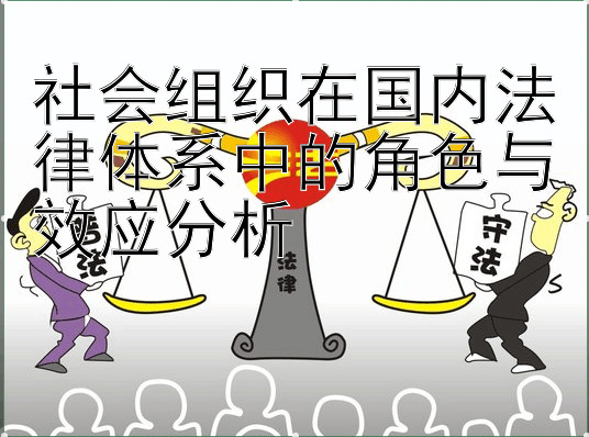 社会组织在国内法律体系中的角色与效应分析