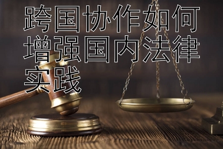 跨国协作如何增强国内法律实践