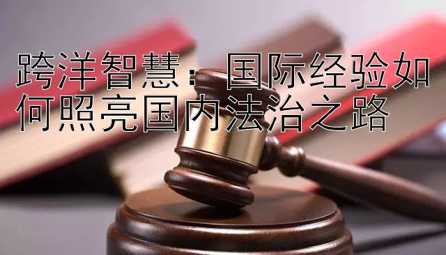 跨洋智慧：国际经验如何照亮国内法治之路