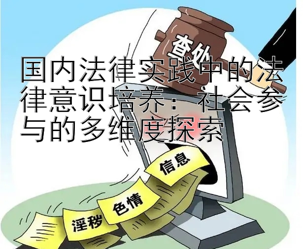 国内法律实践中的法律意识培养：社会参与的多维度探索