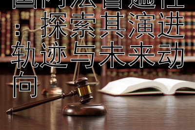 国内法普遍性：探索其演进轨迹与未来动向