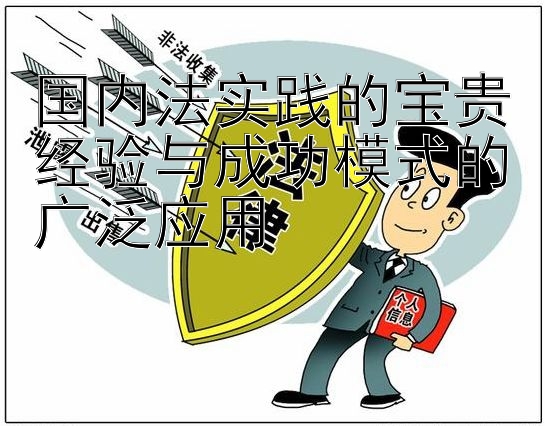 国内法实践的宝贵经验与成功模式的广泛应用